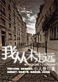 我从未走远小说