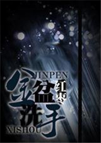 金盆洗手小说