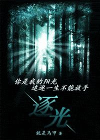 逐光小说