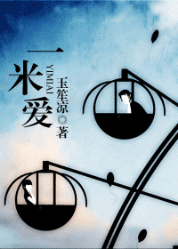 一米爱小说