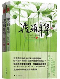 琥珀年华小说