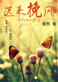 迟来挽风小说