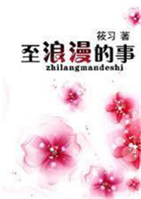 至浪漫的事小说