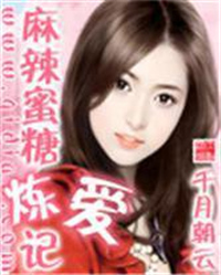 麻辣蜜糖炼爱记小说