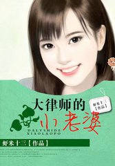 大律师的小老婆小说