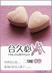 合久必婚小说
