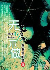 无爱不做小说