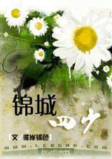 锦城四少小说