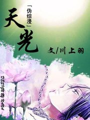 天光（伪综漫）小说