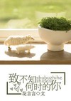 致不知何时的你小说