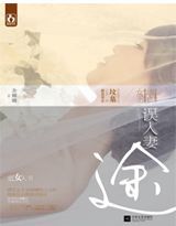 误入妻途小说