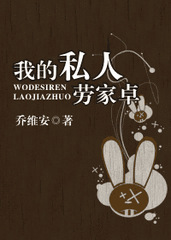 我的私人劳家卓小说