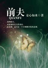 前夫小说
