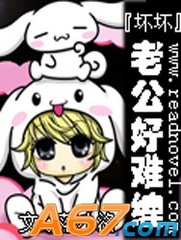 坏坏老公好难缠小说