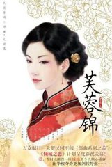 芙蓉锦（出书版）小说