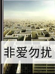 非爱勿扰小说