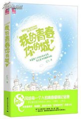 我的青春你的城小说
