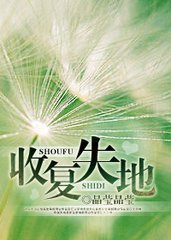收复失地小说