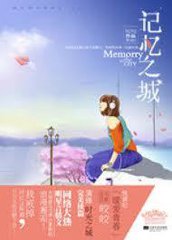 记忆之城（出书版）小说