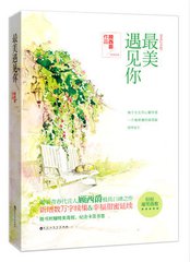 最美遇见你（出书版）小说