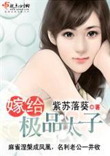 嫁给极品太子小说