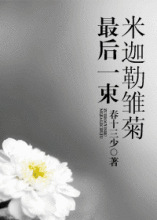 最后一束米迦勒雏菊小说