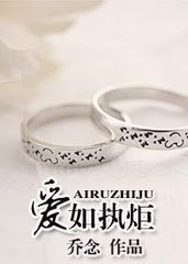 爱如执炬小说