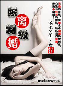限制级离婚小说