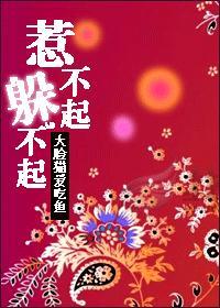 惹不起，躲不起小说
