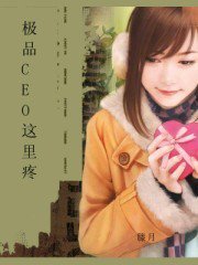 极品CEO这里疼小说
