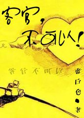 客官不可以（出书版）小说