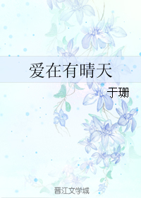 爱在有晴天小说