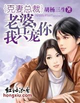 克妻总裁：老婆，我只宠你小说