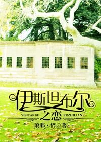 伊斯坦布尔之恋小说