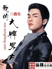 我的大牌男友小说