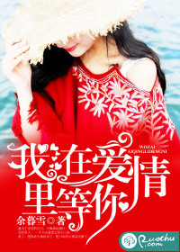 我在爱情里等你小说