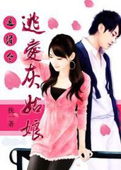 通缉令：逃爱灰姑娘小说