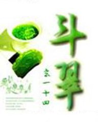 斗翠（都市异能）小说