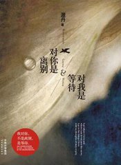 对你是离别，对我是等待小说