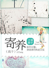 寄养（高干）小说