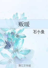 贩暖小说