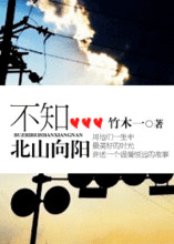 不知北山向阳（军旅）小说