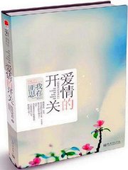 爱情的开关小说
