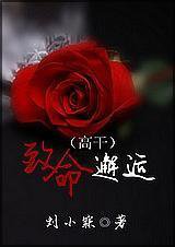 致命邂逅（高干）小说