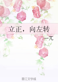 立正，向左转小说