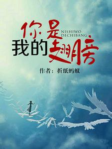 你是我的翅膀（军旅）小说