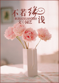 不若缘浅小说