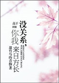 没关系，你我来日方长（高干）小说