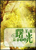 曙光（军旅）小说