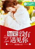 如果没有遇见你小说